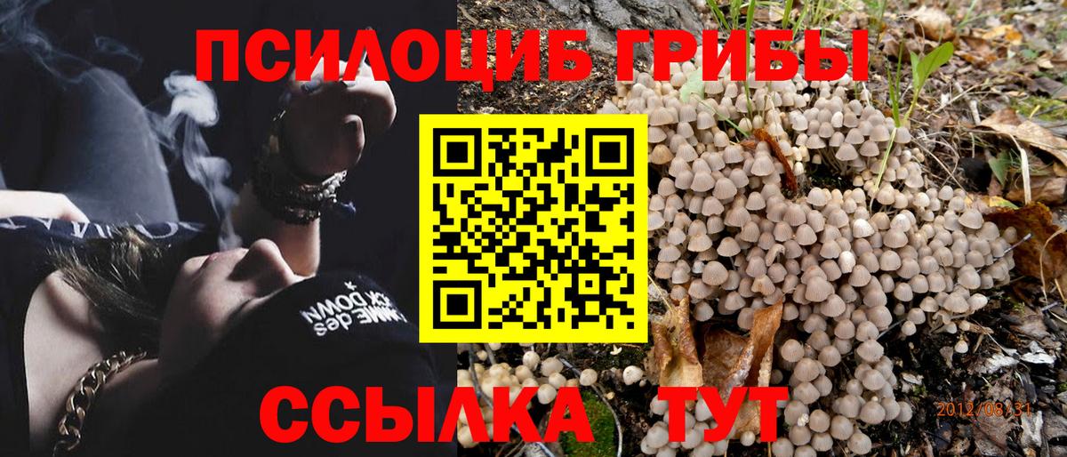 Псилоцибиновые грибы GOLDEN TEACHER  Вход с VPN  Псилоцибиновые грибы Magic Shrooms  где купить наркоту  Касимов 