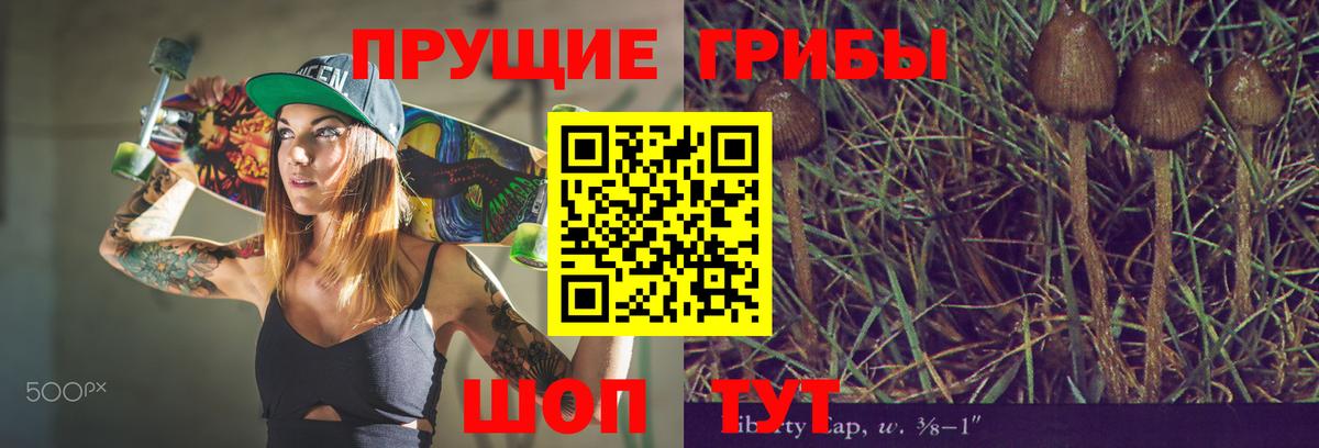 Галлюциногенные грибы Psilocybe Касимов